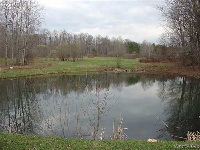 5388 Herrick Road Gerry, NY 14740 - Photo 1 of 1 Land