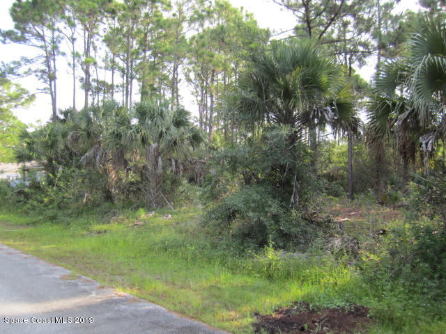 773 Gibbons Road Southwest Palm Bay, FL 32908 - Photo 3 of 7 LOT VIEW