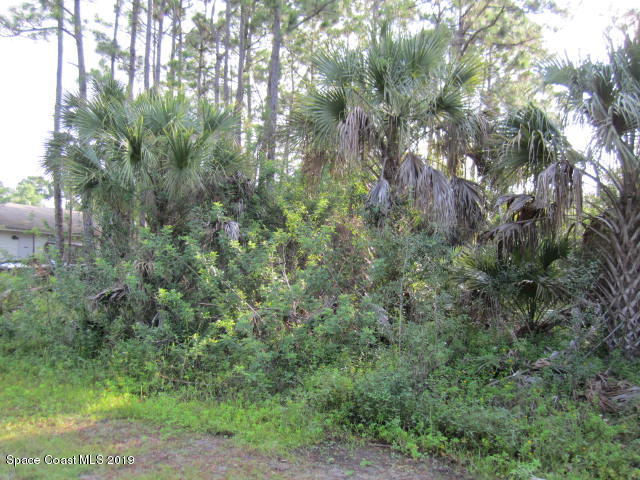 773 Gibbons Road Southwest Palm Bay, FL 32908 - Photo 4 of 7 LOT VIEW