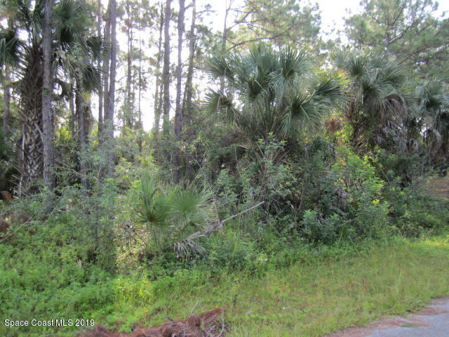 773 Gibbons Road Southwest Palm Bay, FL 32908 - Photo 5 of 7 ACROSS THE STREET FROM LOT