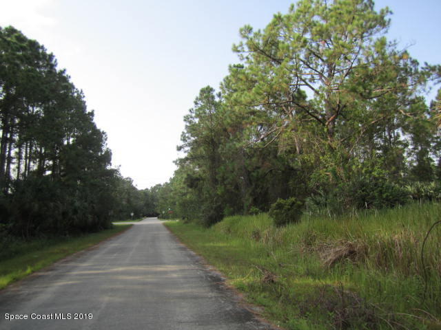 773 Gibbons Road Southwest Palm Bay, FL 32908 - Photo 7 of 7 LOOKING DOWN THE STREET TO RIGHT