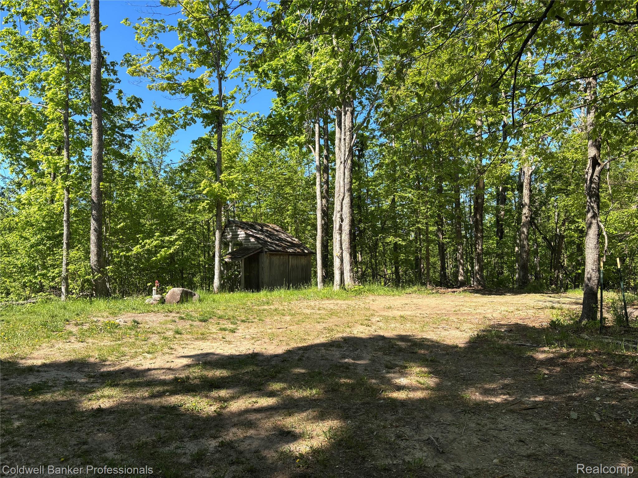 11560 Ashman Hl Road Boyne Falls, MI 49713 - Photo 21 of 22 Nice privacy on your 80 acres