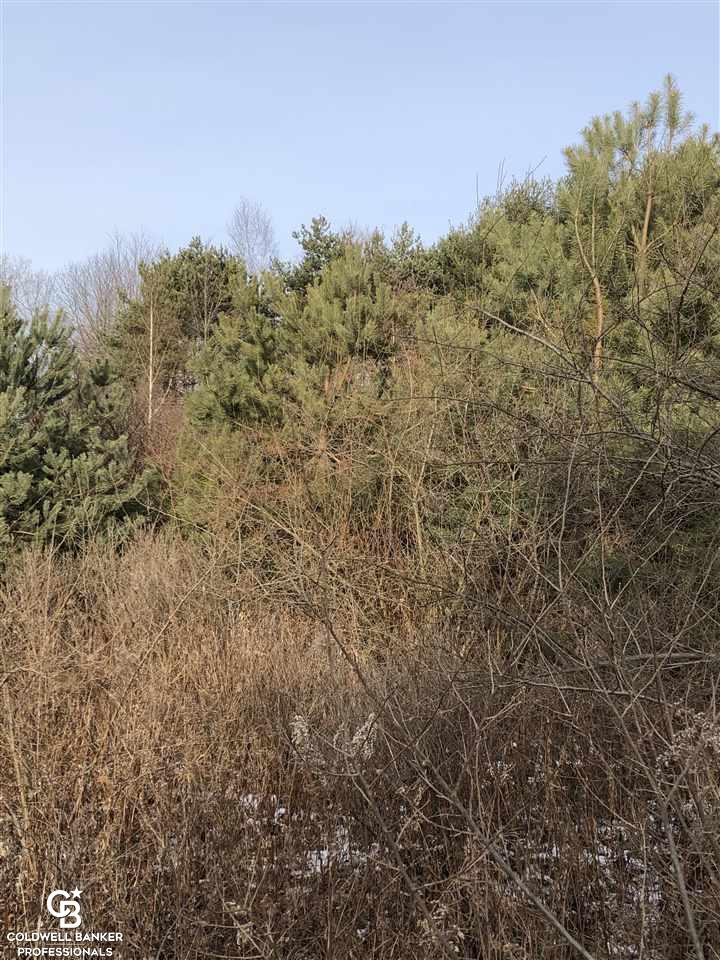 0 Puttygut Road Casco, MI 48064 - Photo 1 of 9
