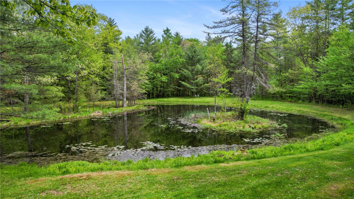 1028 Copes Corners Road Butternuts, NY 13843 - Photo 27 of 36