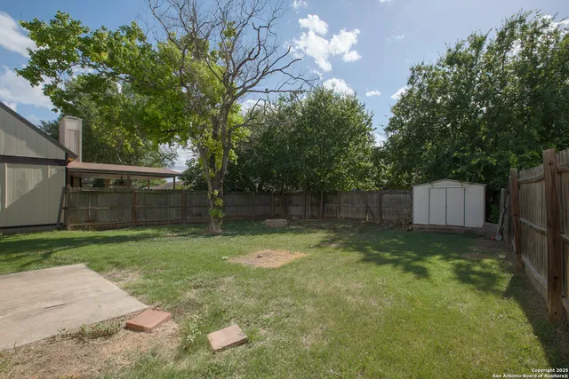 a view of a yard in front of a house with a large tree