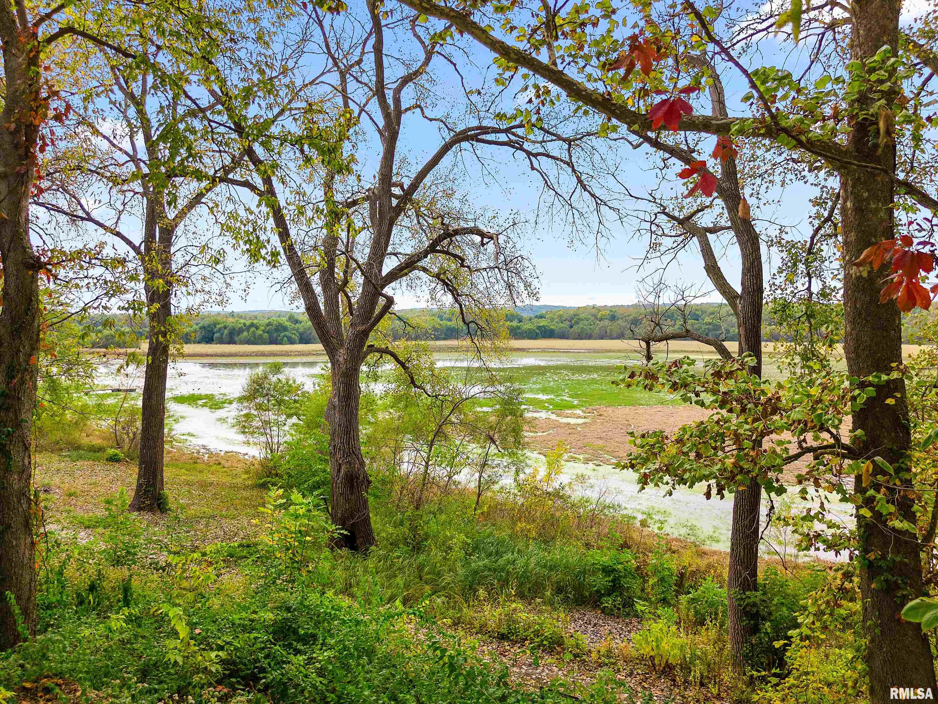 7 Sycamore Bay Road Lacon, IL 61540 - Photo 12 of 41