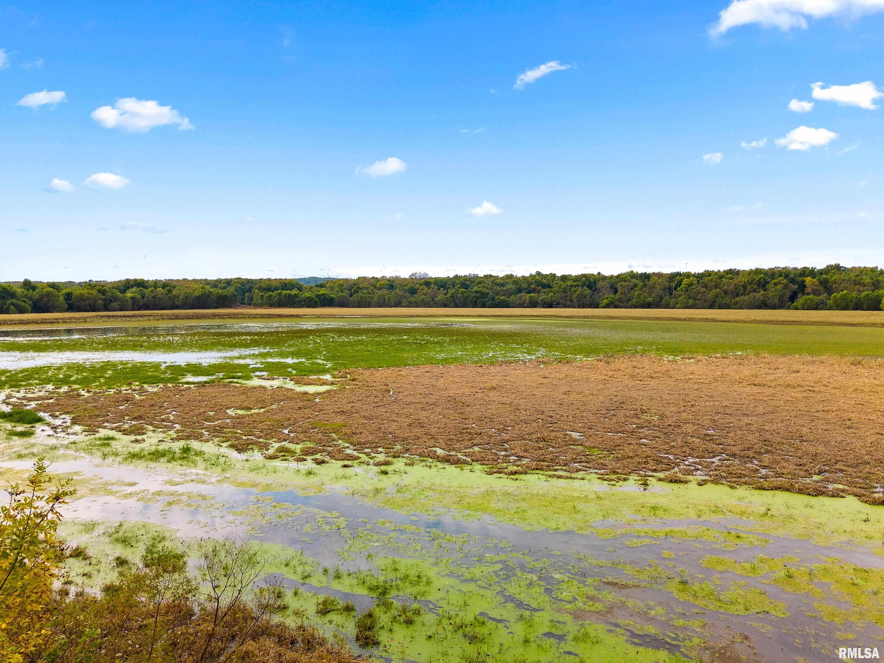 7 Sycamore Bay Road Lacon, IL 61540 - Photo 14 of 41