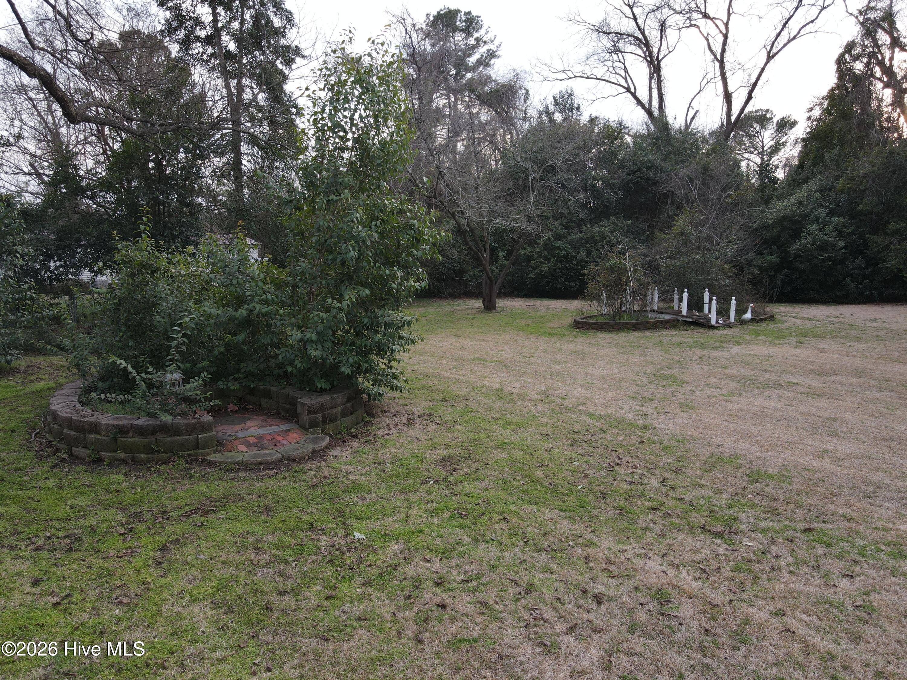 4320 Main Street Gibson, NC 28343 - Photo 30 of 77 DJI_0728