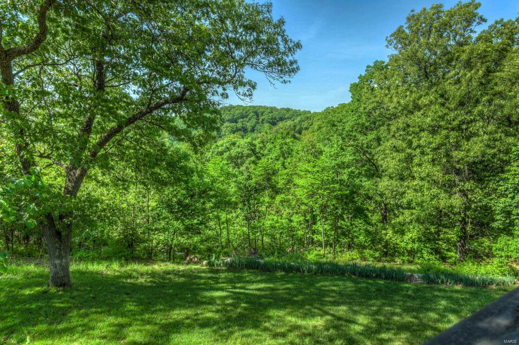 1127 Forest Ridge Trail Lane Ballwin, MO 63021 - Photo 45 of 53 Gallery Image 45