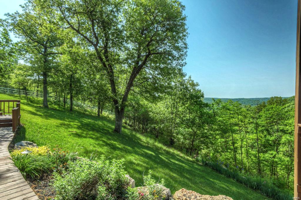 1127 Forest Ridge Trail Lane Ballwin, MO 63021 - Photo 46 of 53 Gallery Image 46