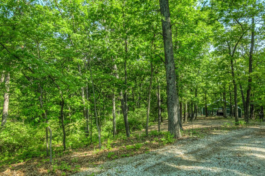 1127 Forest Ridge Trail Lane Ballwin, MO 63021 - Photo 50 of 53 Gallery Image 50