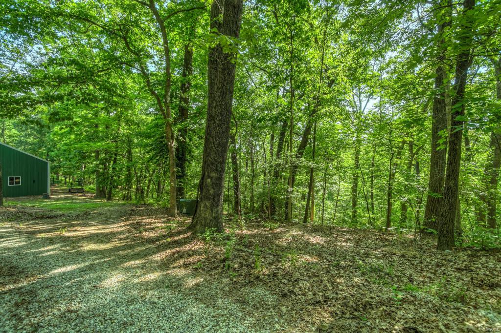 1127 Forest Ridge Trail Lane Ballwin, MO 63021 - Photo 52 of 53 Gallery Image 52