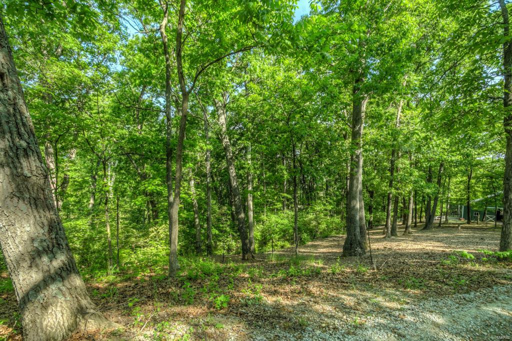 1127 Forest Ridge Trail Lane Ballwin, MO 63021 - Photo 53 of 53 Gallery Image 53