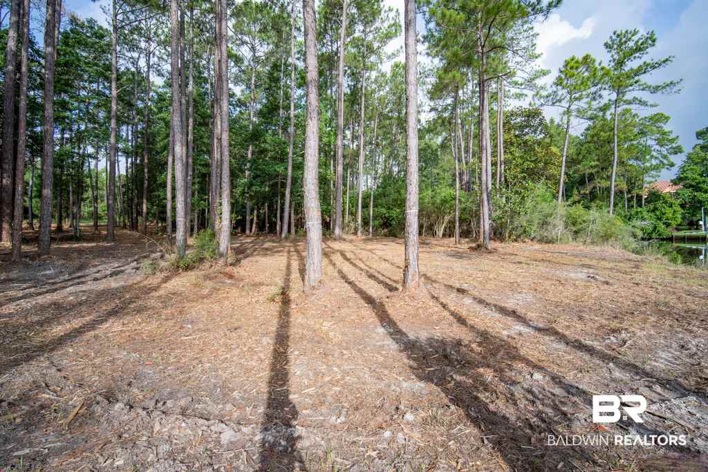 4 South Bayou Drive Elberta, AL 36530 - Photo 21 of 23