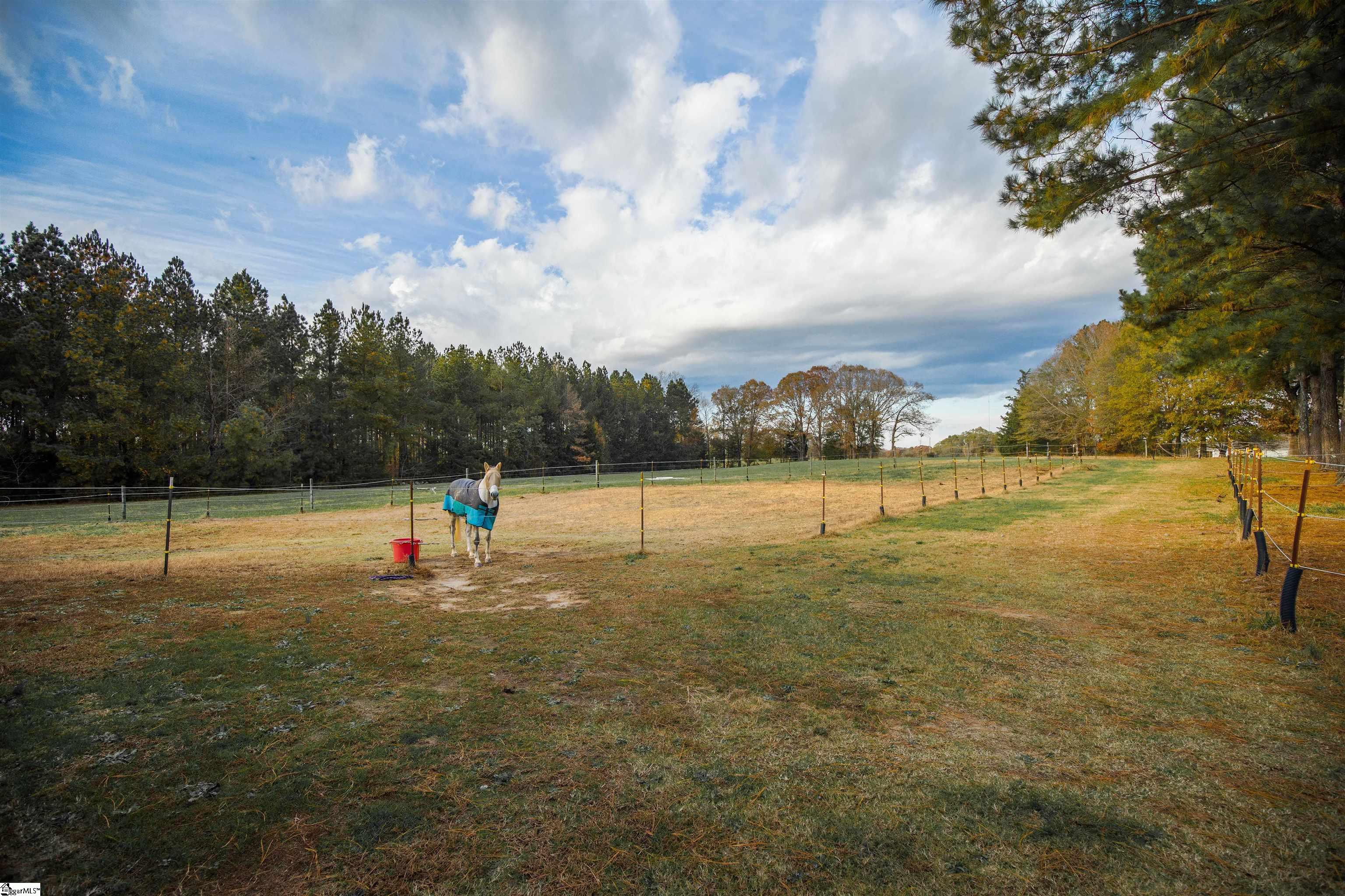 306 Terry Road Fountain Inn, SC 29644 - Photo 20 of 34