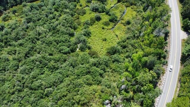 586 Lower Dedham Road Dedham, ME 04429 - Photo 12 of 17 12