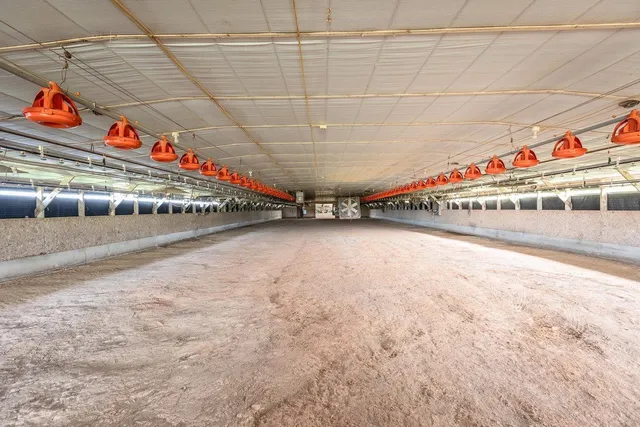 $730,000 | 5928 Kratzer Road, Linville, VA 22834