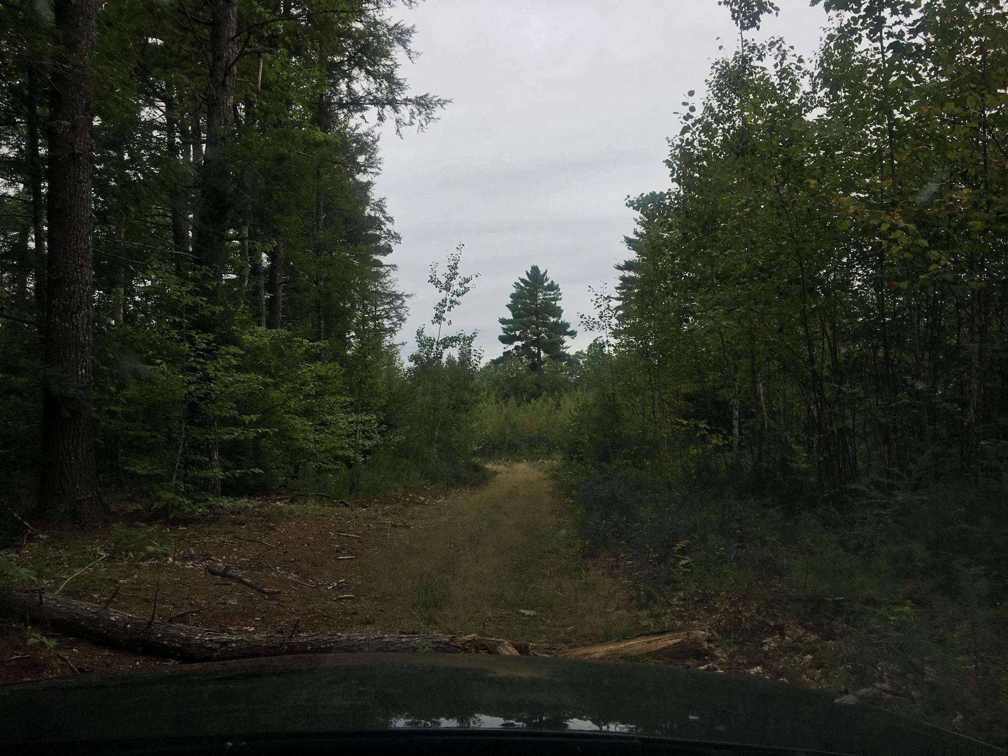 47-acres New Dam Road Limerick, ME 04048 - Photo 21 of 22 EA97FC6A-7EC9-41EE-BAFF-281862BC153C