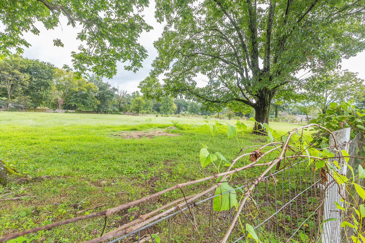 274 Cartwright Loop Whitwell, TN 37397 - Photo 45 of 57 274 Cartwright Loop HD 37393 -1