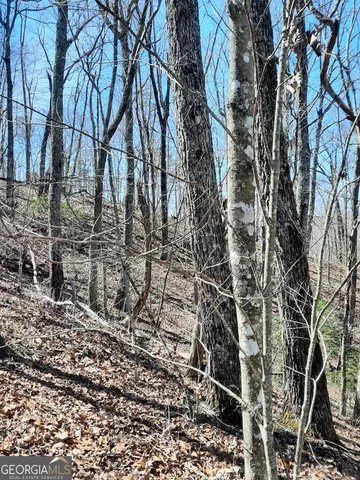 a backyard of a building