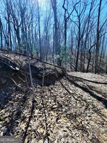 a view of a yard with plants and trees