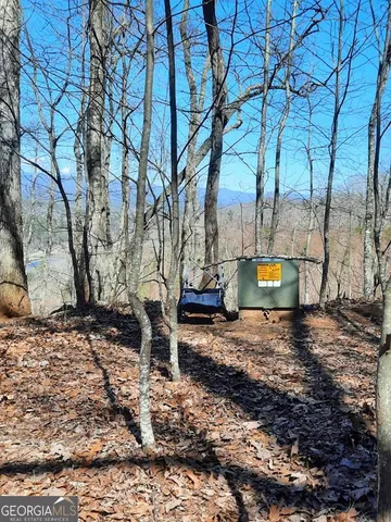 a view of a backyard with large trees