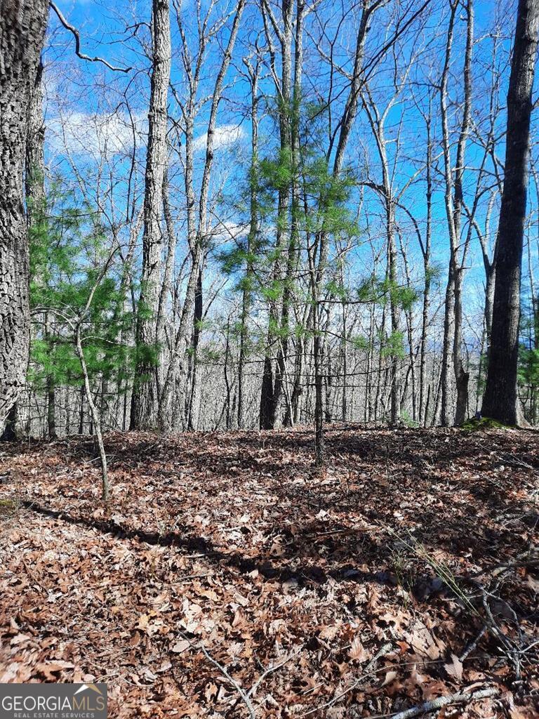 Lot 7 Quail Run Ridge Murphy, NC 28906 - Photo 15 of 27 a big yard with trees