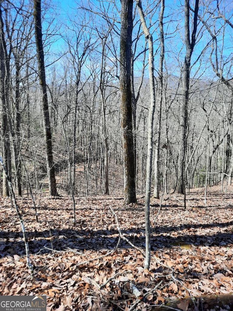 Lot 7 Quail Run Ridge Murphy, NC 28906 - Photo 17 of 27 a backyard of a house with lots of green space