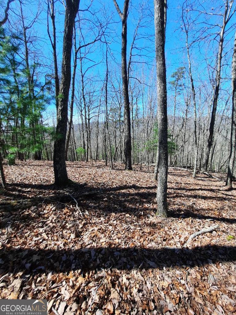 Lot 7 Quail Run Ridge Murphy, NC 28906 - Photo 18 of 27 a view of a yard with trees