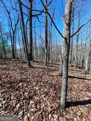 a view of a backyard of the house