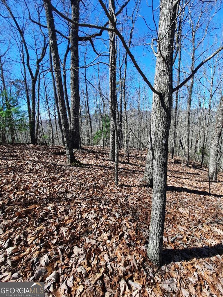 Lot 7 Quail Run Ridge Murphy, NC 28906 - Photo 19 of 27 a view of a backyard of the house