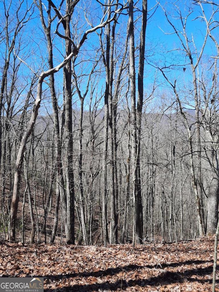 Lot 7 Quail Run Ridge Murphy, NC 28906 - Photo 20 of 27 a view of a backyard of the house