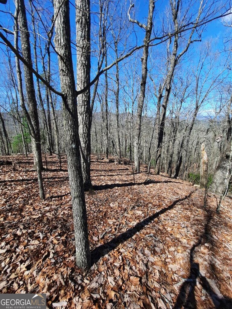 Lot 7 Quail Run Ridge Murphy, NC 28906 - Photo 2 of 27 a view of a backyard of the house