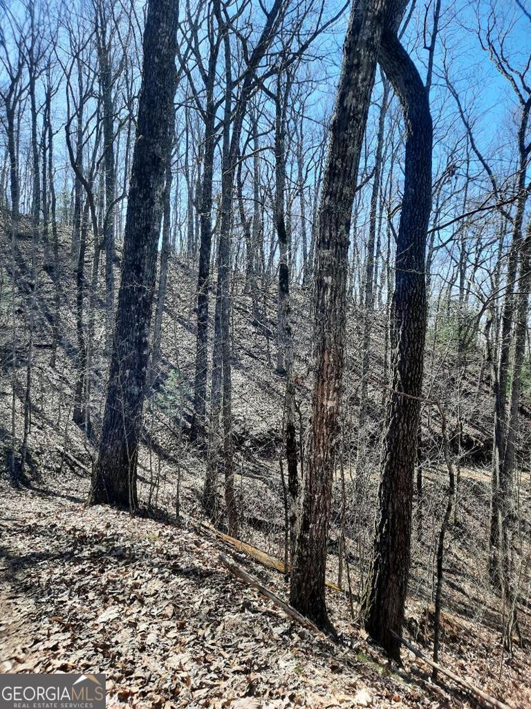 Lot 7 Quail Run Ridge Murphy, NC 28906 - Photo 22 of 27 a view of a forest with trees