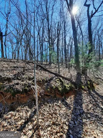 a view of a yard with plants and trees