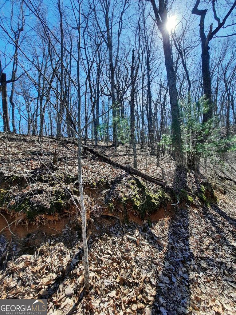 Lot 7 Quail Run Ridge Murphy, NC 28906 - Photo 23 of 27 a view of a yard with plants and trees