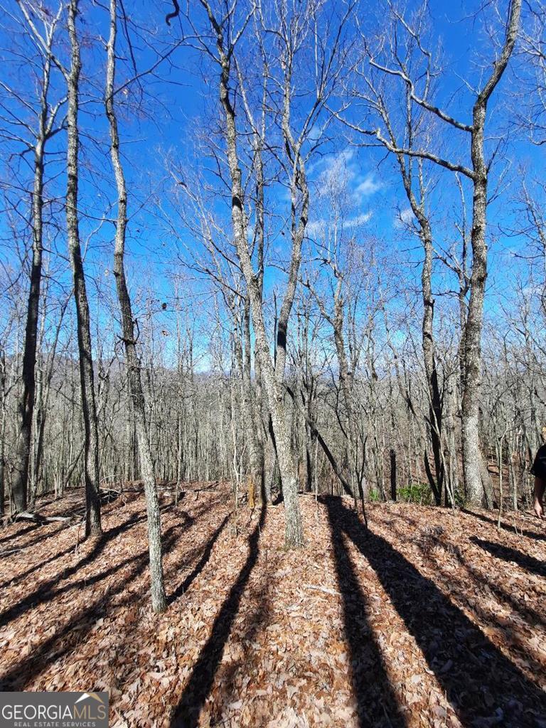 Lot 7 Quail Run Ridge Murphy, NC 28906 - Photo 24 of 27 a view of a yard