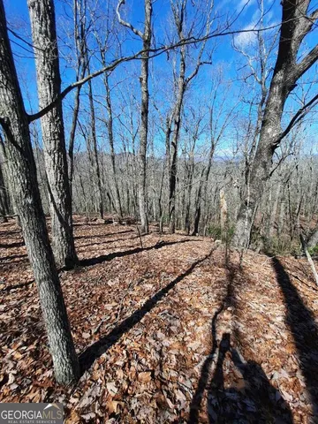 a view of a backyard of the house