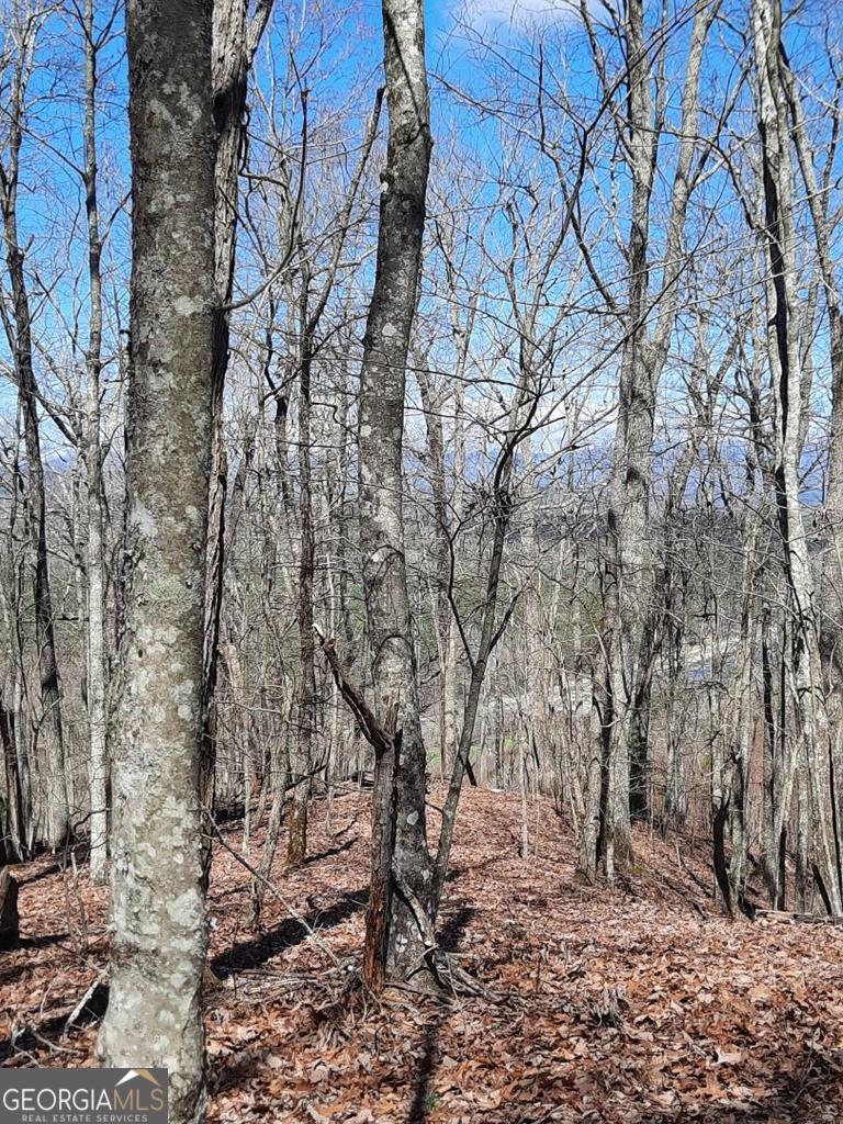 Lot 7 Quail Run Ridge Murphy, NC 28906 - Photo 26 of 27 a backyard of a house with lots of green space