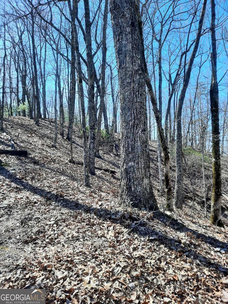 Lot 7 Quail Run Ridge Murphy, NC 28906 - Photo 27 of 27 a backyard of a house with lots of green space