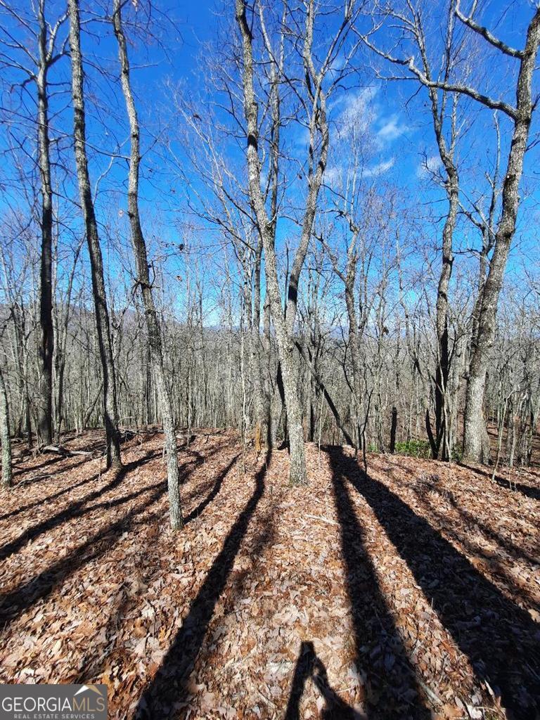 Lot 7 Quail Run Ridge Murphy, NC 28906 - Photo 3 of 27 a view of a yard with wooden fence