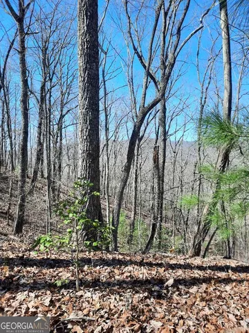 a backyard of a house with lots of trees