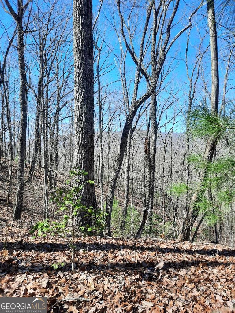 Lot 7 Quail Run Ridge Murphy, NC 28906 - Photo 4 of 27 a backyard of a house with lots of trees