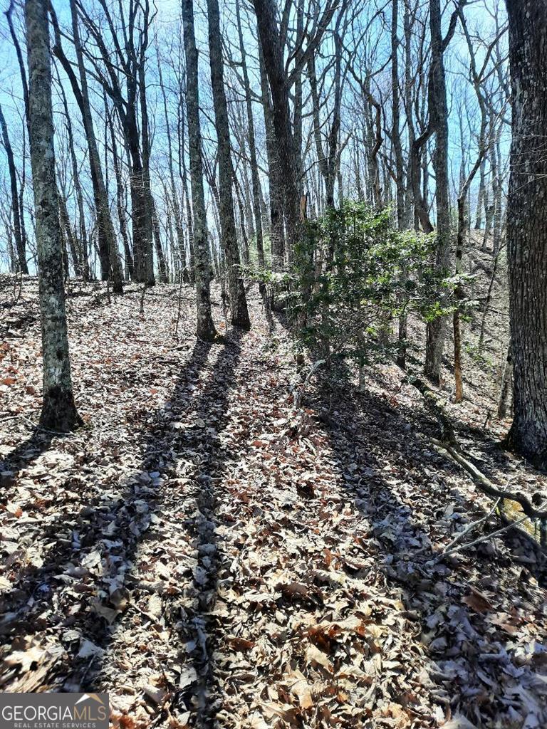 Lot 7 Quail Run Ridge Murphy, NC 28906 - Photo 5 of 27 a view of snow on a field
