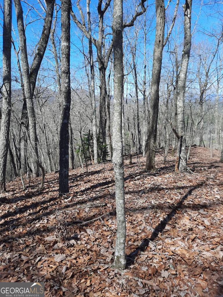 Lot 7 Quail Run Ridge Murphy, NC 28906 - Photo 6 of 27 a view of a yard with trees