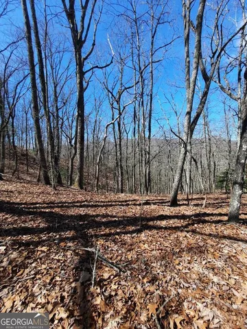 a view of a yard with trees