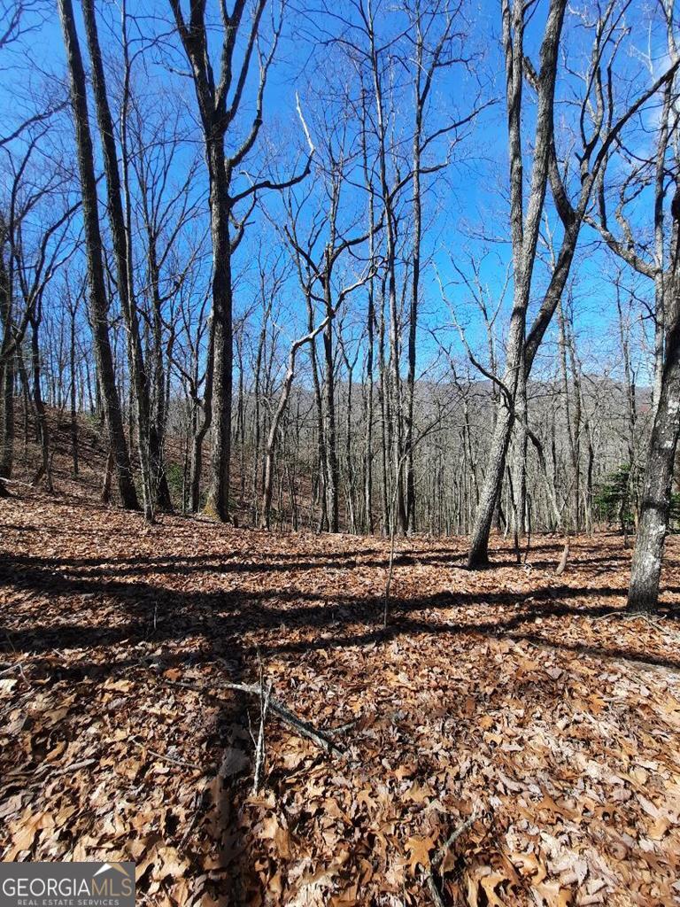 Lot 7 Quail Run Ridge Murphy, NC 28906 - Photo 7 of 27 a view of a yard with trees