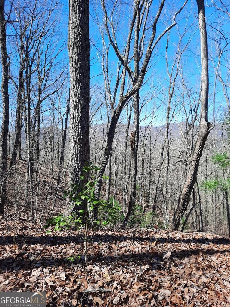Lot 7 Quail Run Ridge Murphy, NC 28906 - Photo 8 of 27 a backyard of a house with lots of green space