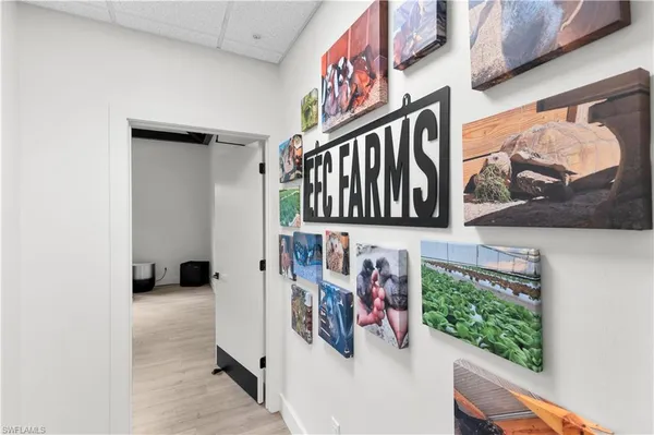 a view of a swimming pool with a yard