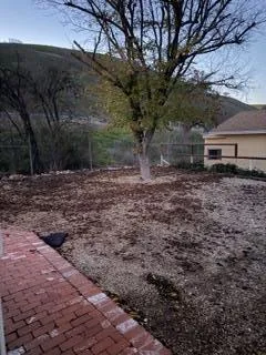 $687,999 | 1421 K Street, San Miguel, CA 93451